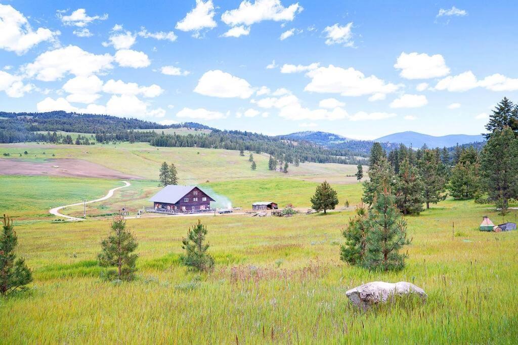 Wilderness Cabin - Eden Valley Oroville المظهر الخارجي الصورة